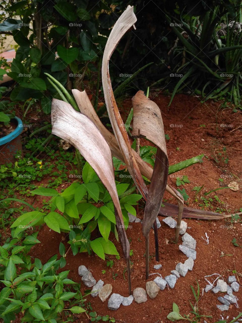 kids playing with soil in my garden