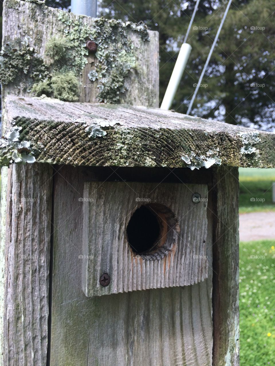 Birdhouse