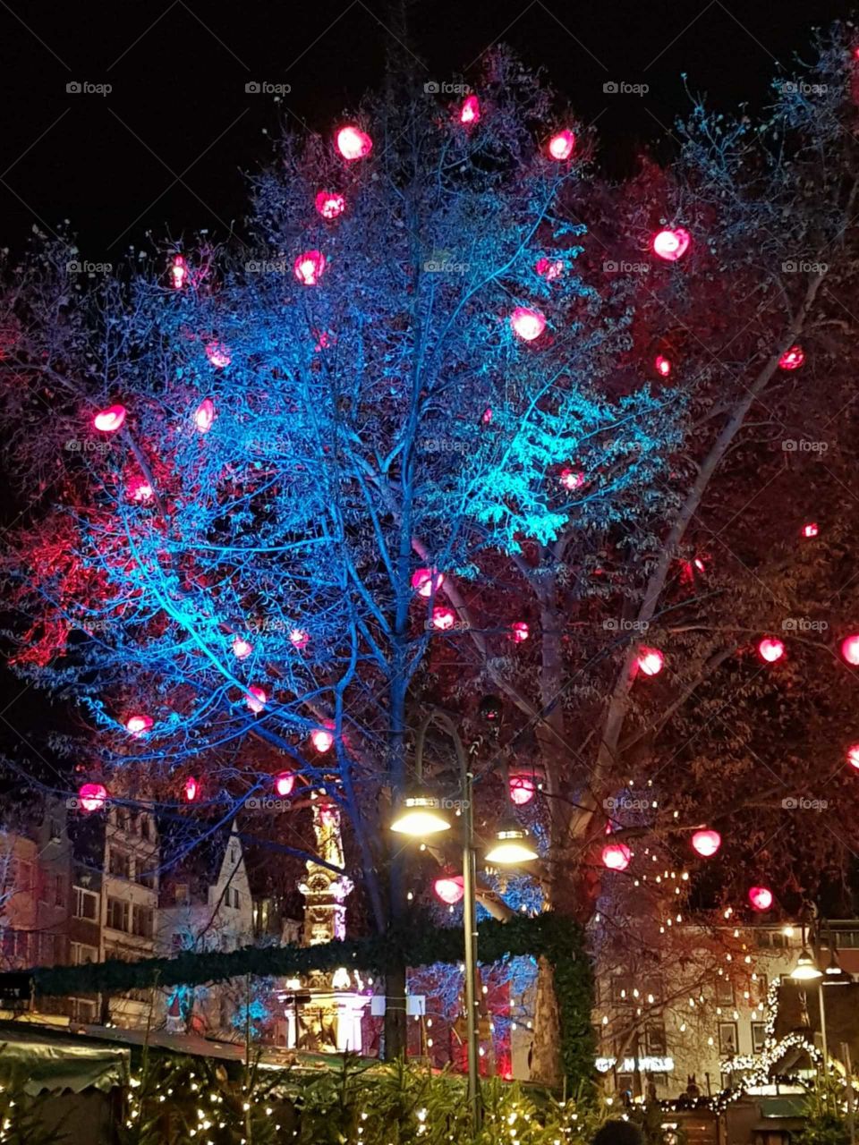 Leuchte Baum leuchte