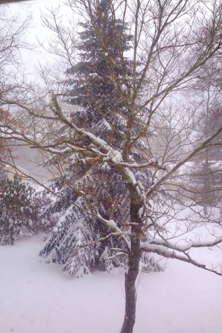 Winter Wonderland 2015