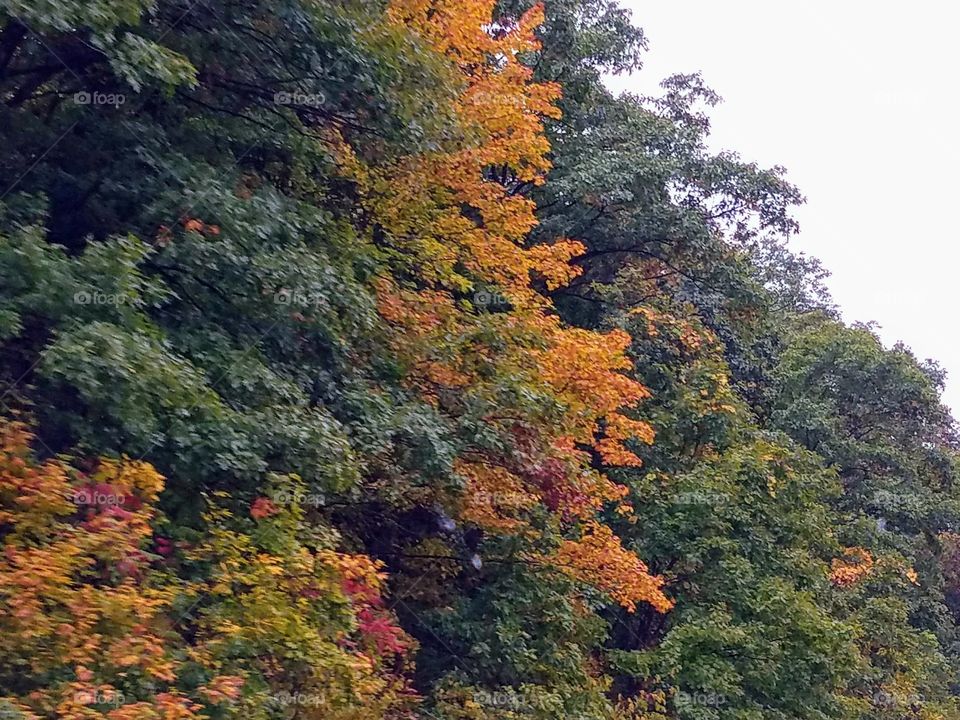 Driving the Back Roads and enjoying everything around us