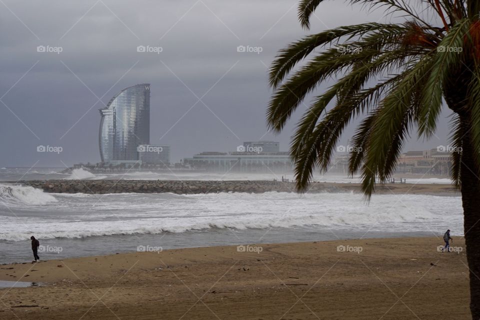 Mediterranean Winter