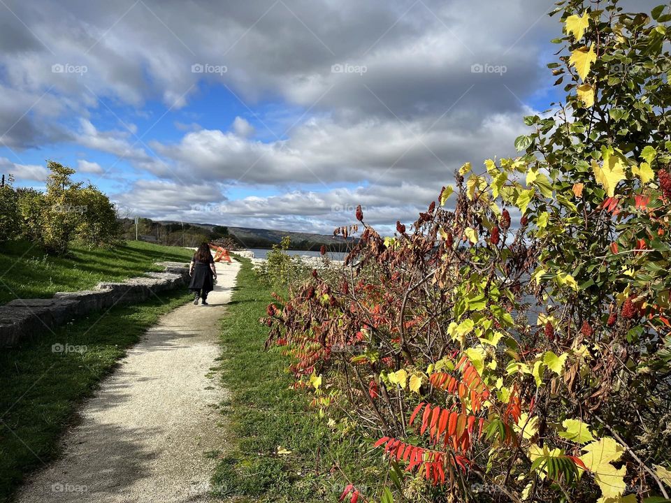 Autumn in Collingwood Ontario  , trail walk by the water , some leaves changing blue sky with clouds 