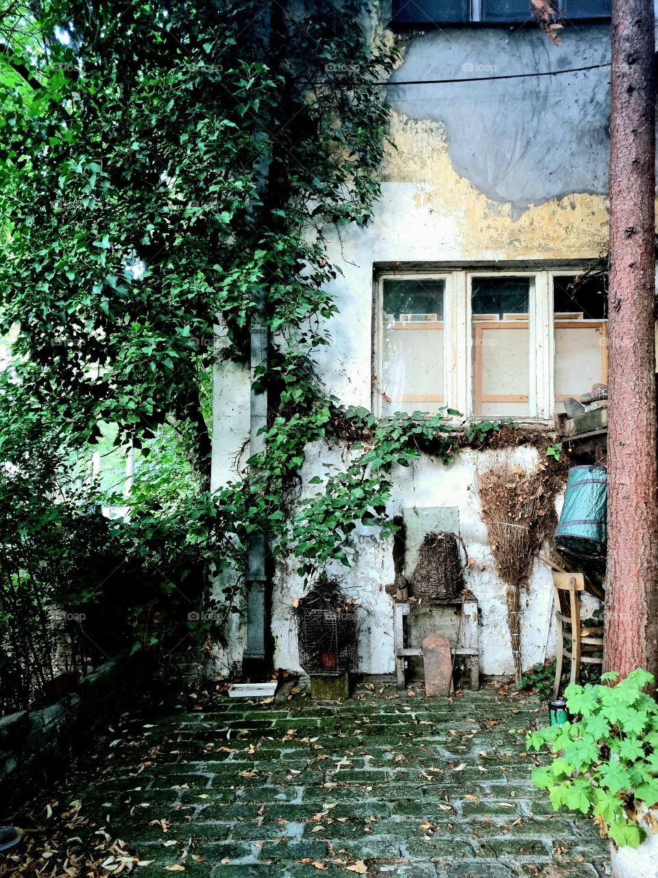 abandoned painting colony