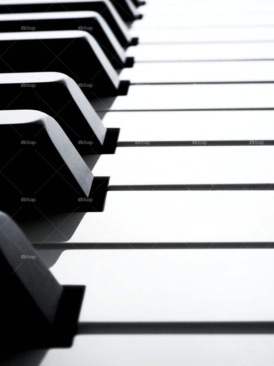 Black and White Piano keys close up