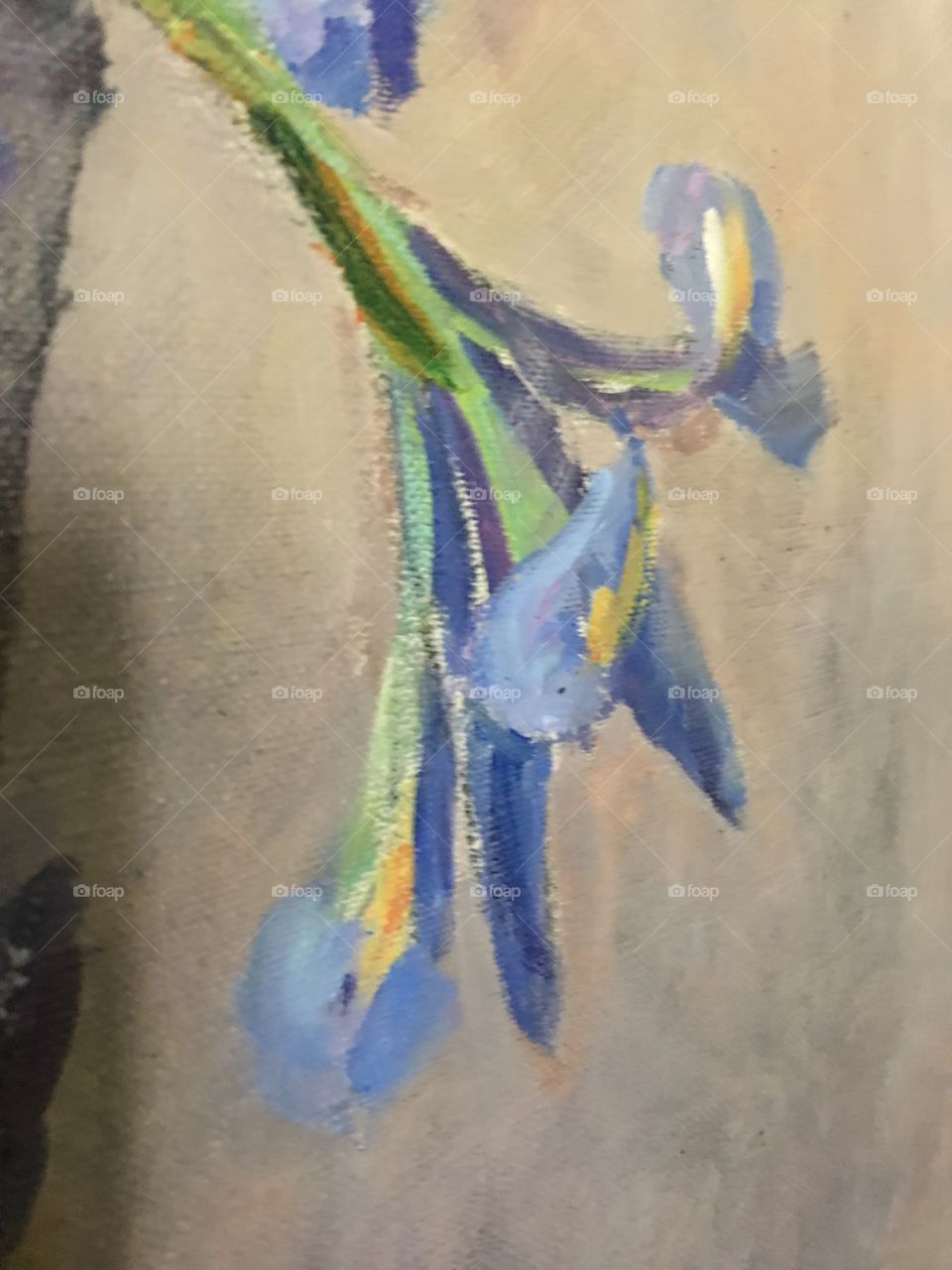 Oil painting of iris flower 