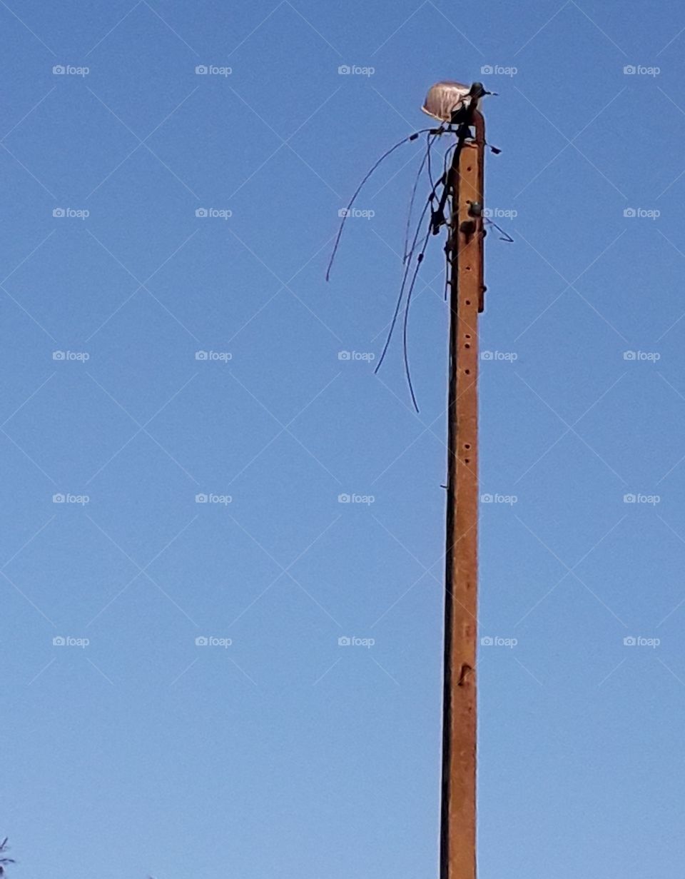 a pole