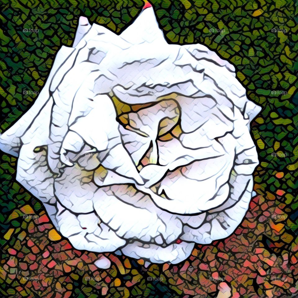 Flores do nosso jardim, estilizadas com o App Prisma!