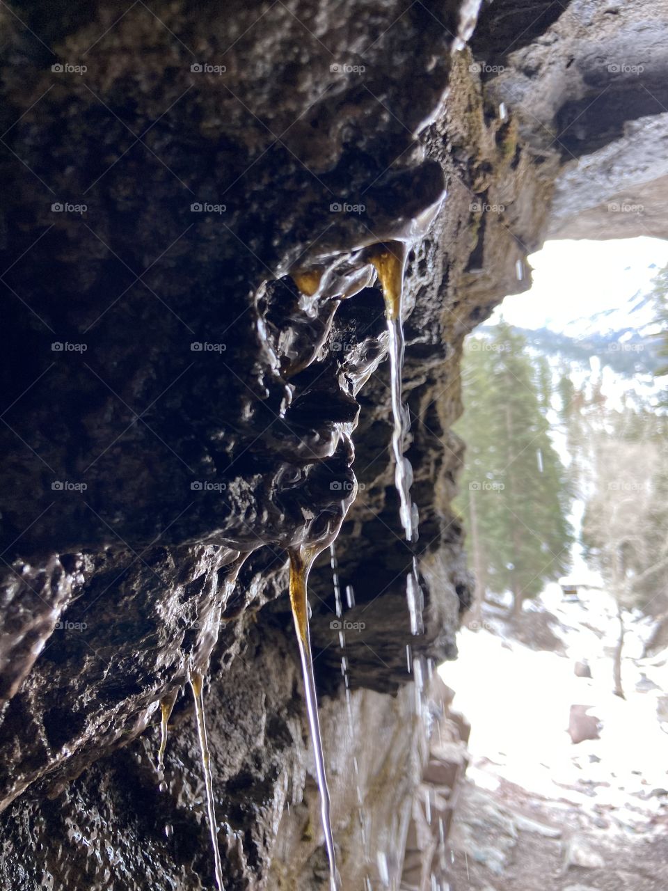 Dripping cave wall