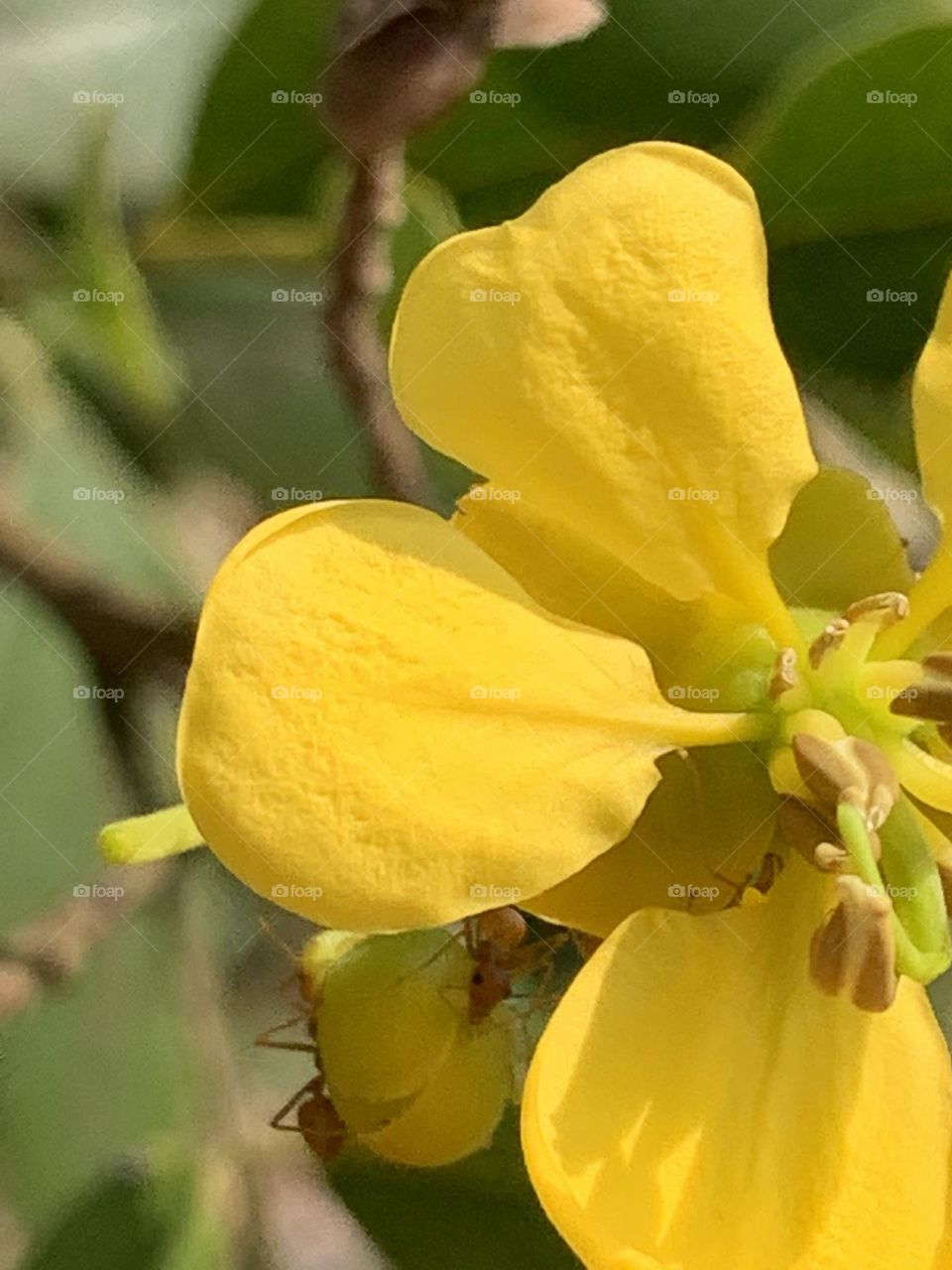 📷 Colors Explosion 