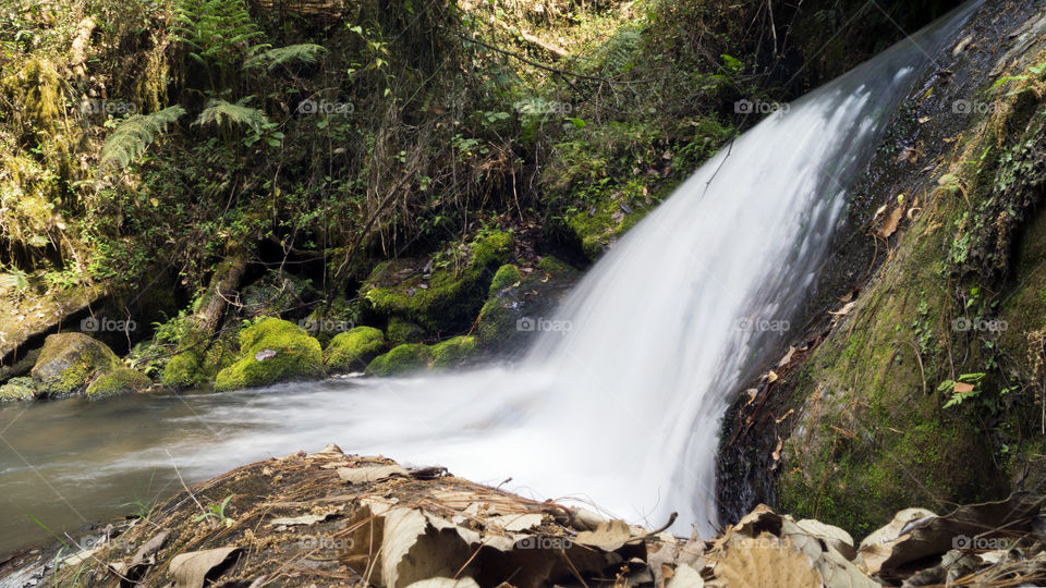 Waterfall