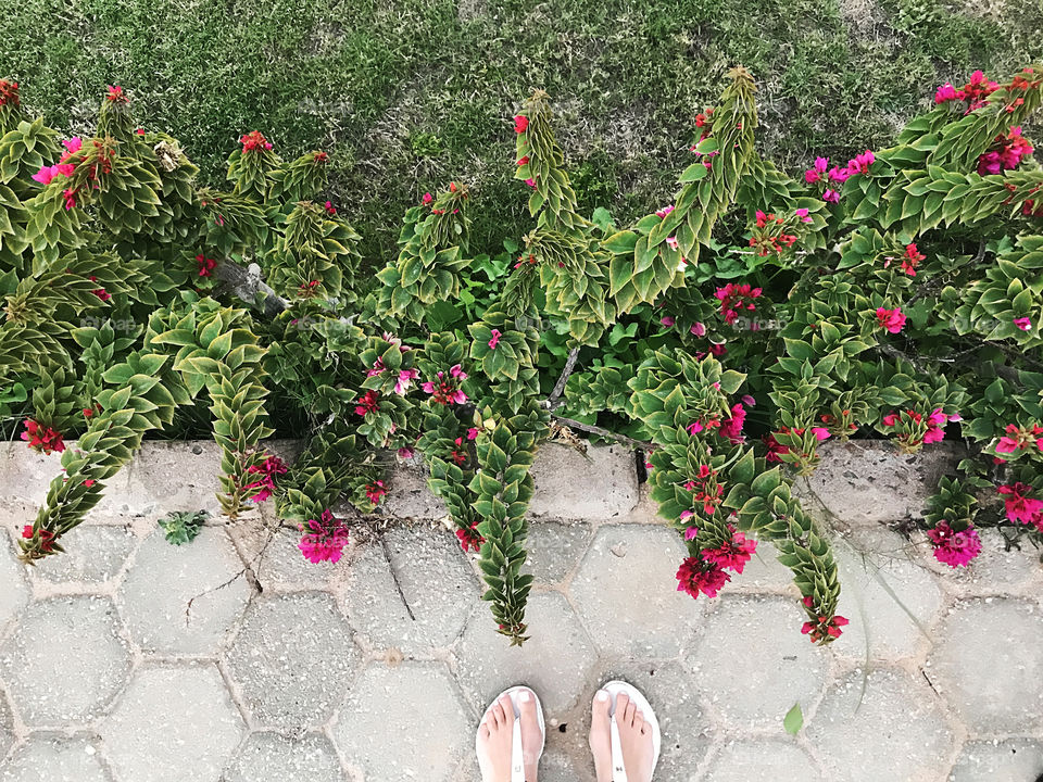 Enjoying the last summer days walking at city garden 