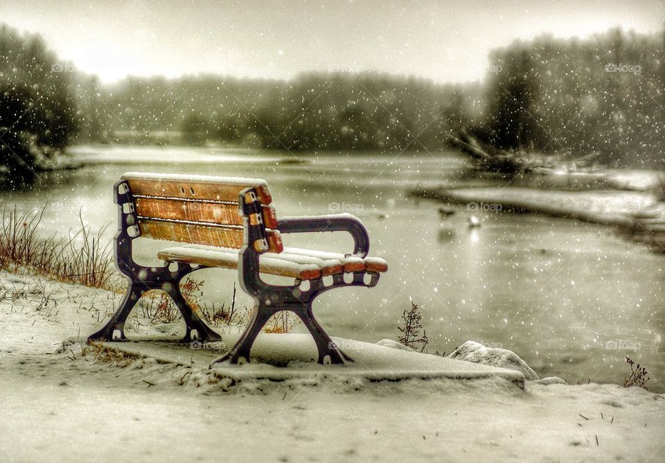 Bench in snow. 