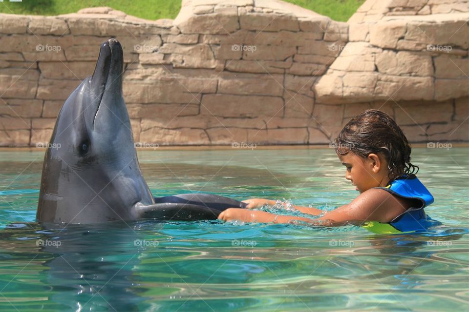 Dancing with dolphin