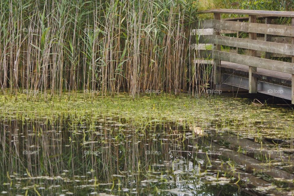 Reflection of bridge on water