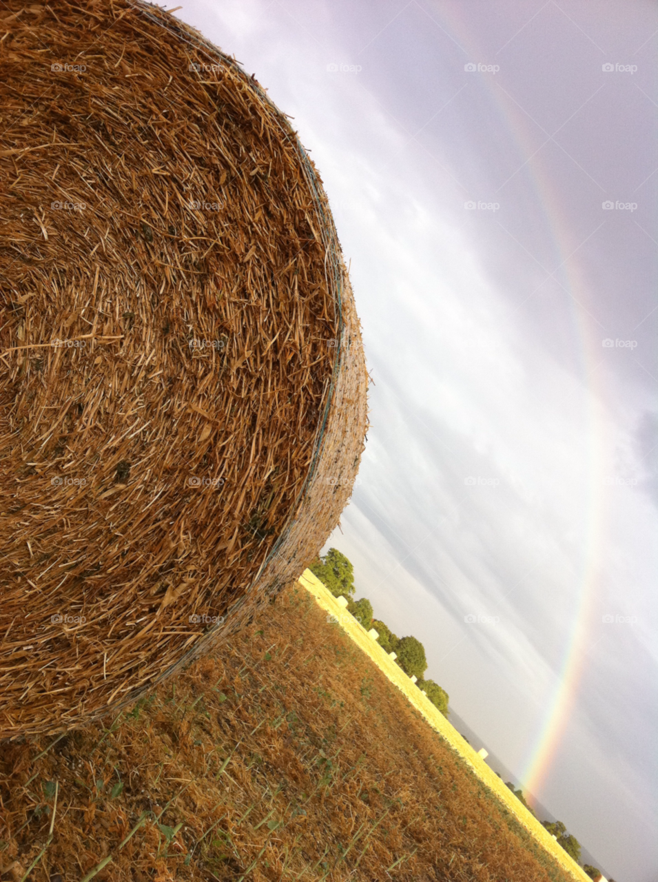 field summer rainbow harvest by SirBluto