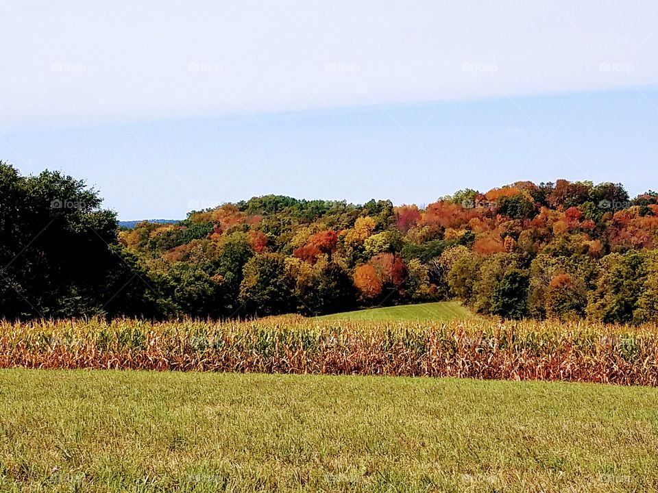 Driving the Back Roads and enjoying everything around us
