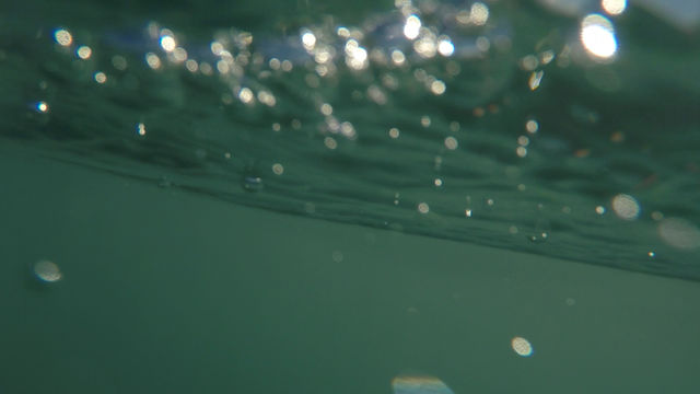 Sea
