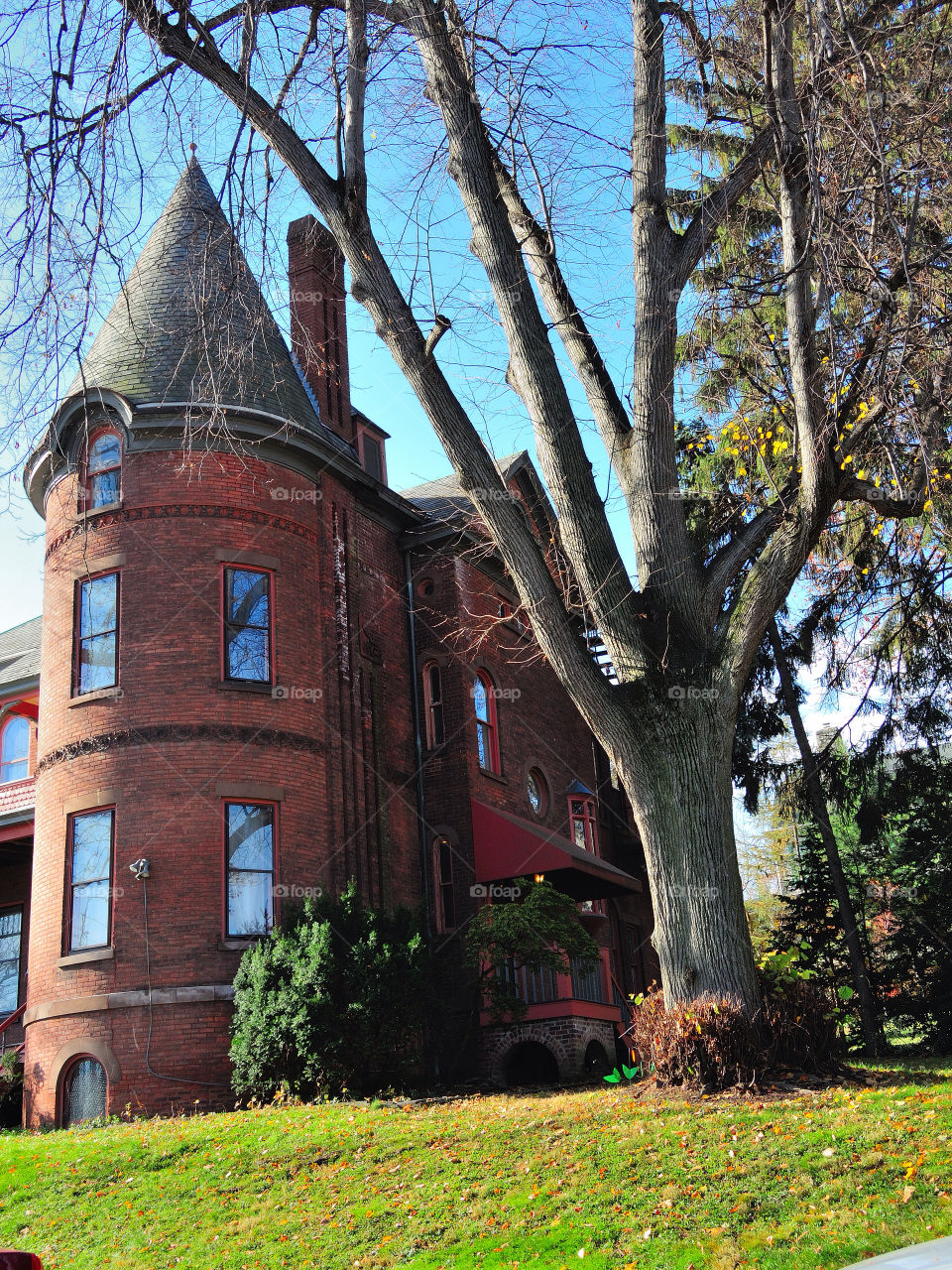 grass tree house old by delvec