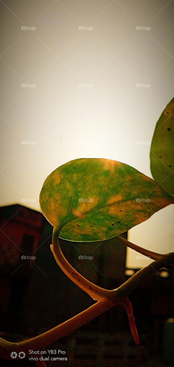 #color #folkgreen #roamtheplanet #exploretherewards #modernoutdoors #naturparkfichtelgebirge #themoderndayexplorer #moodygrams #vibesofvisuals #wekeepmoments