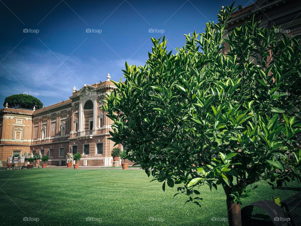 In the courtyard of the Vatican