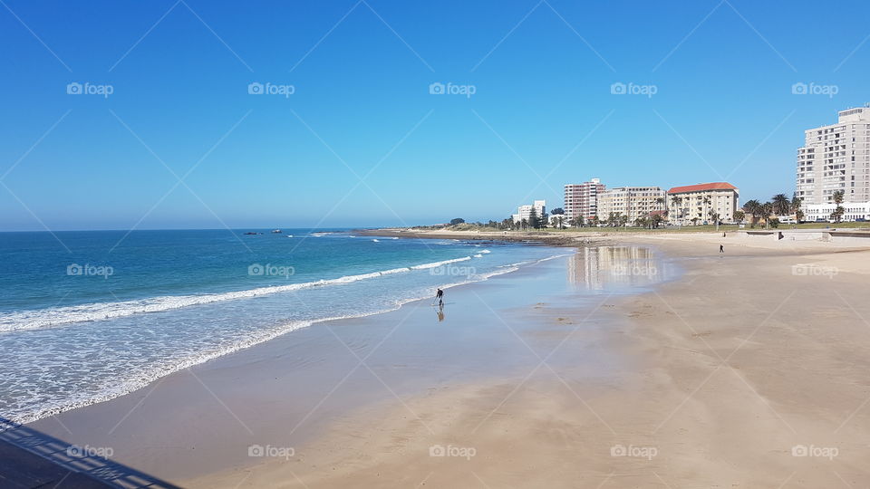 port elizabeth sunny beach