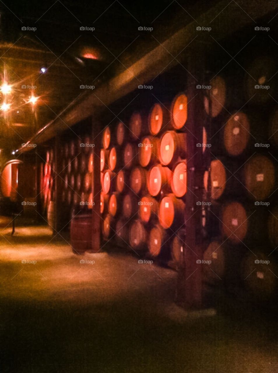 Wine cellar 