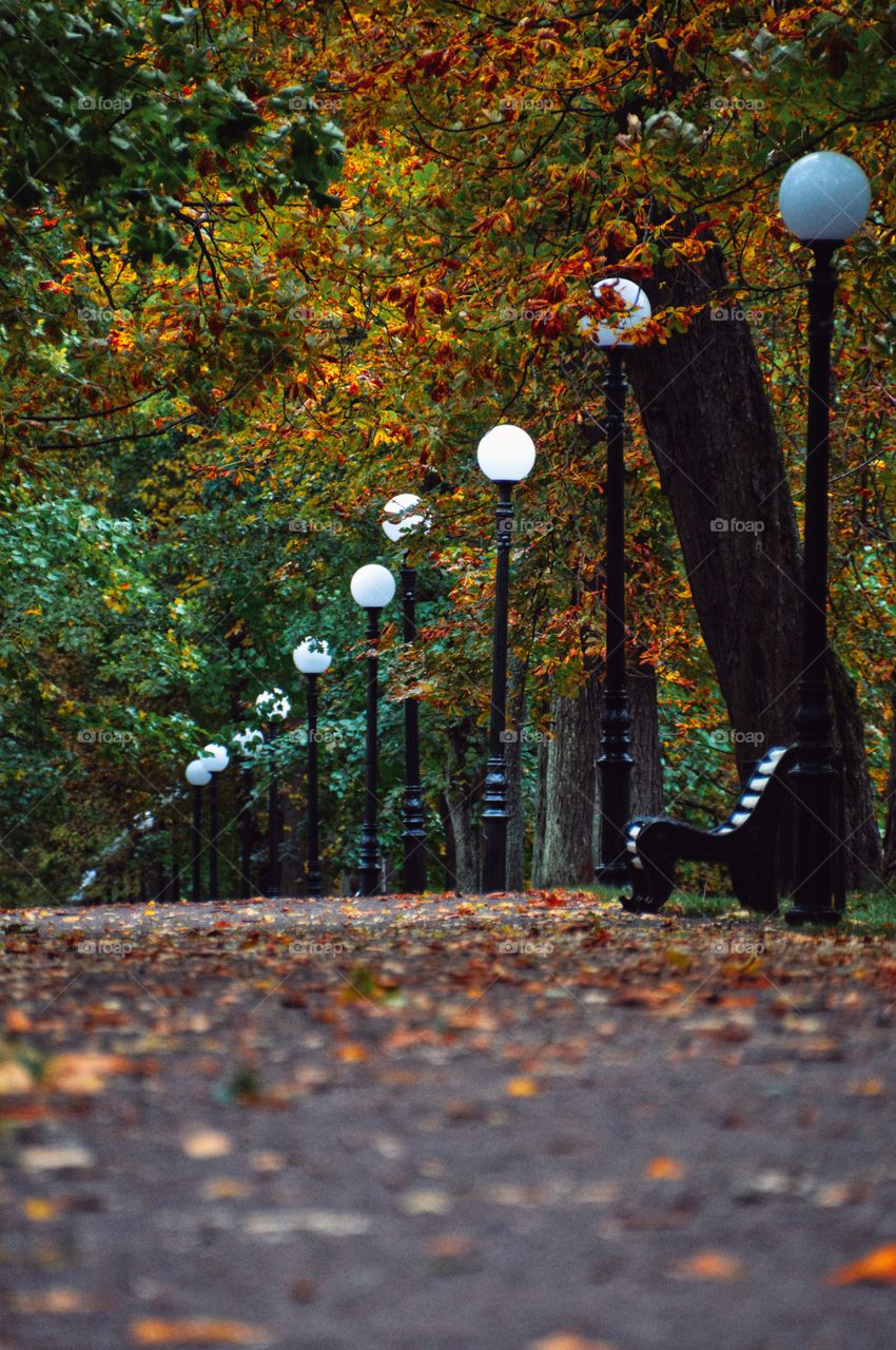 Beautiful autumn colors in Kadriorg Park, Tallinn.