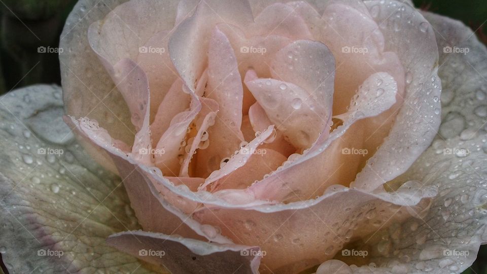 Experimentando
Experiencing