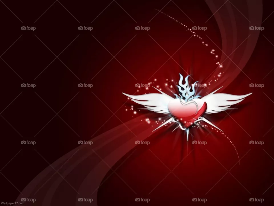 Fly