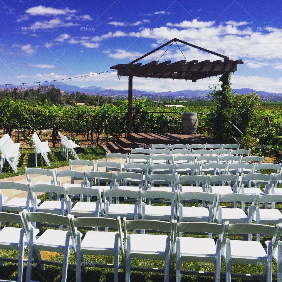 Wedding. Lorimar winery in Temecula