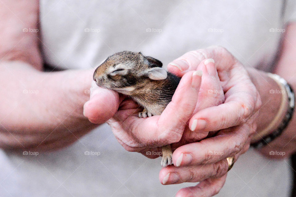 New life-aging hands