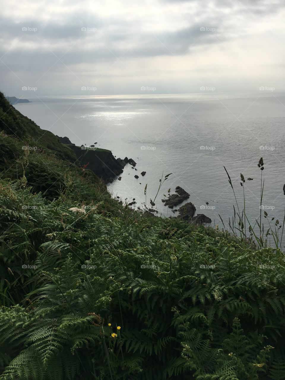 Half and half, North Devon coast and the Atlantic sea. Nature and wild, balanced and true. 