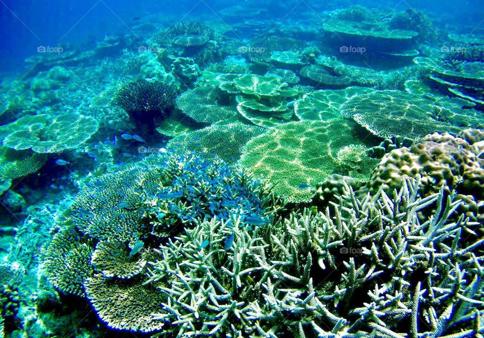 Snorkelling at balabalagan beach