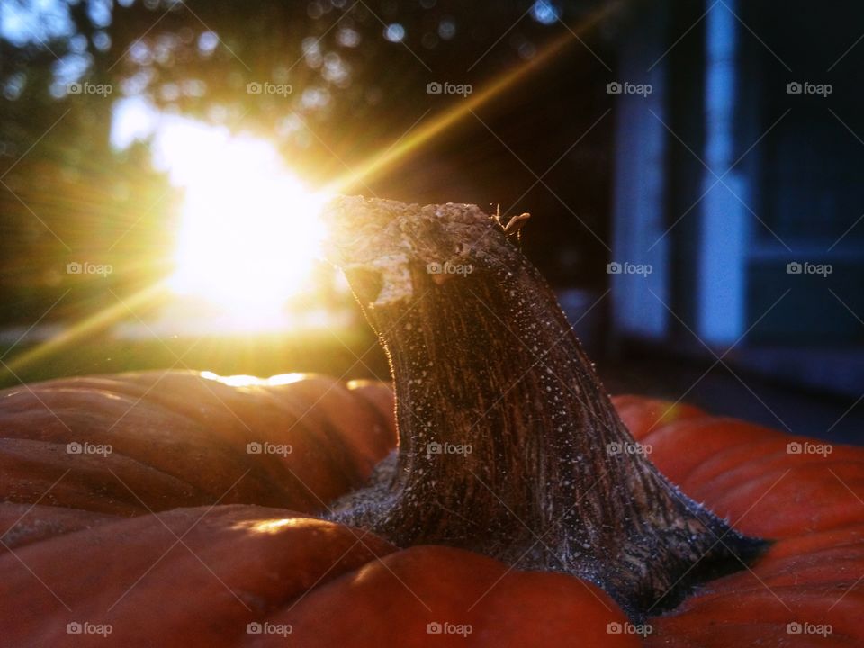 Celebrating Halloween with a pumpkin on the porch at sunset