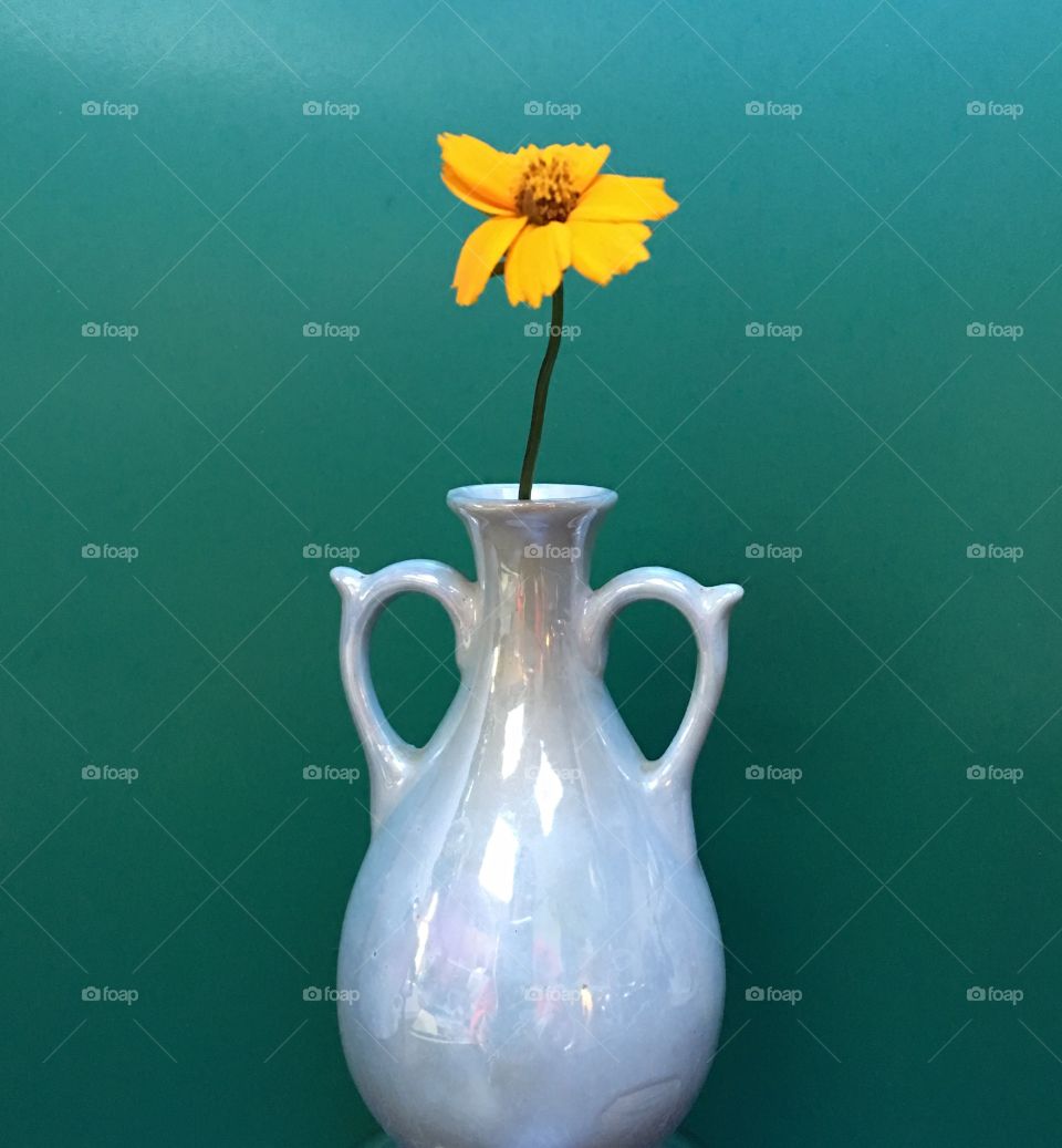 Tiny blue vase for tiny Orange Mouse Ear