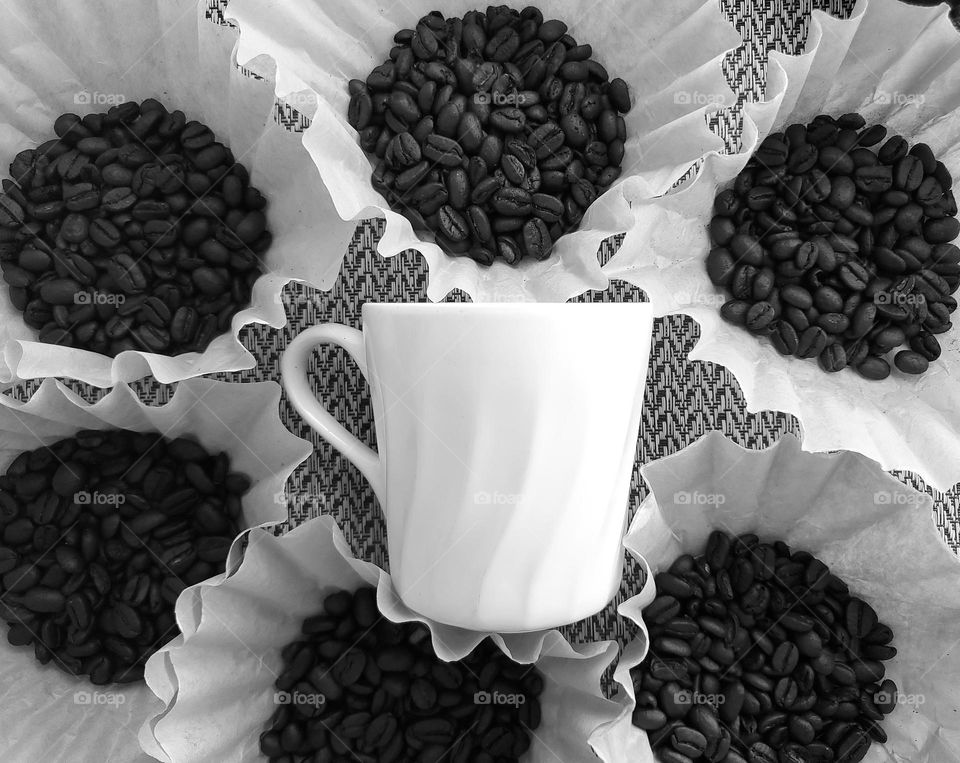 Black and white : white centered coffee cup surrounded by coffee filters with coffee beans.