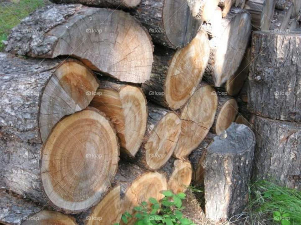 Wood stacked for cabin use.