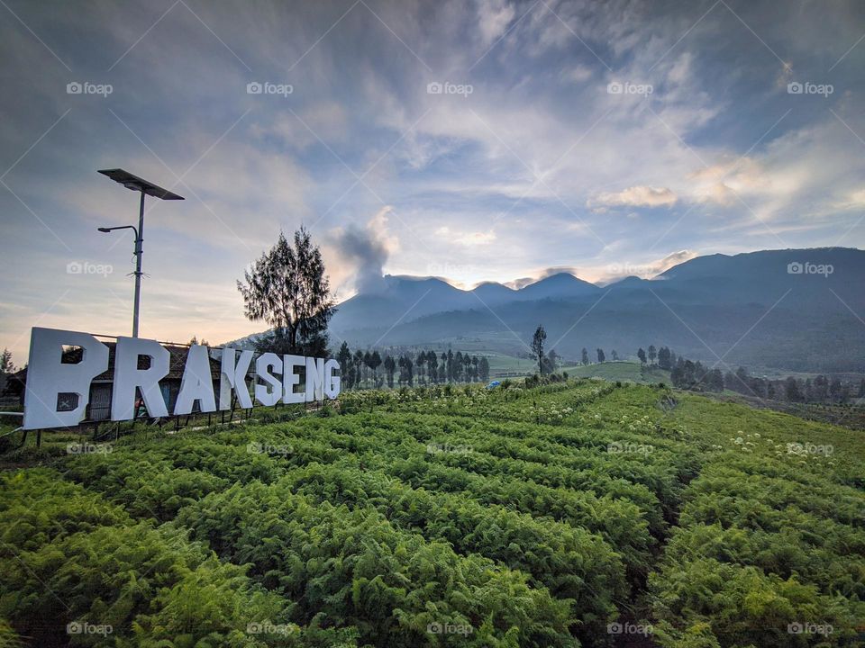 exotic nature of Indonesia in the morning