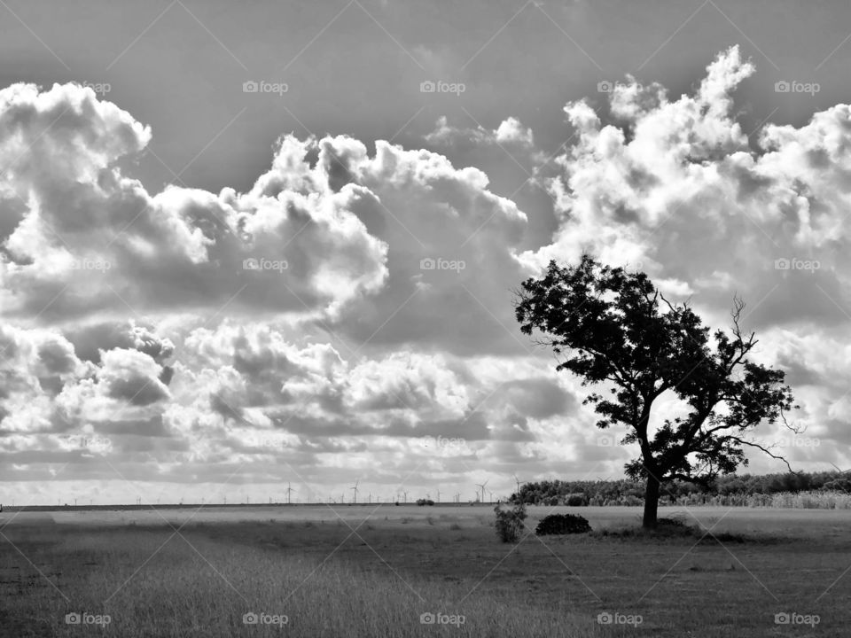 Black and white south Texas country 