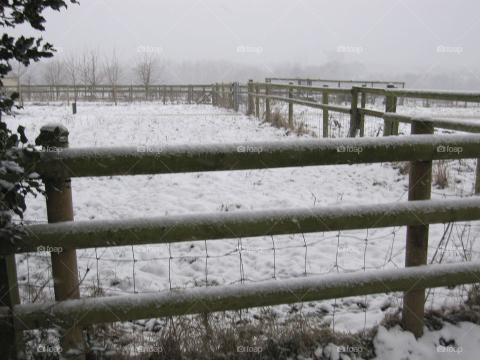 Snowy Fence