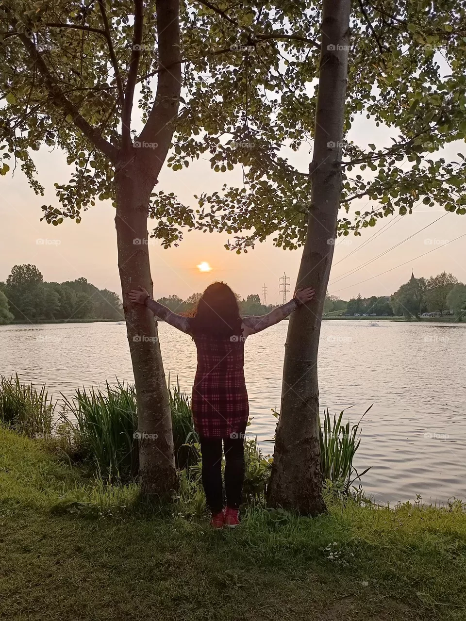 evening by the pond