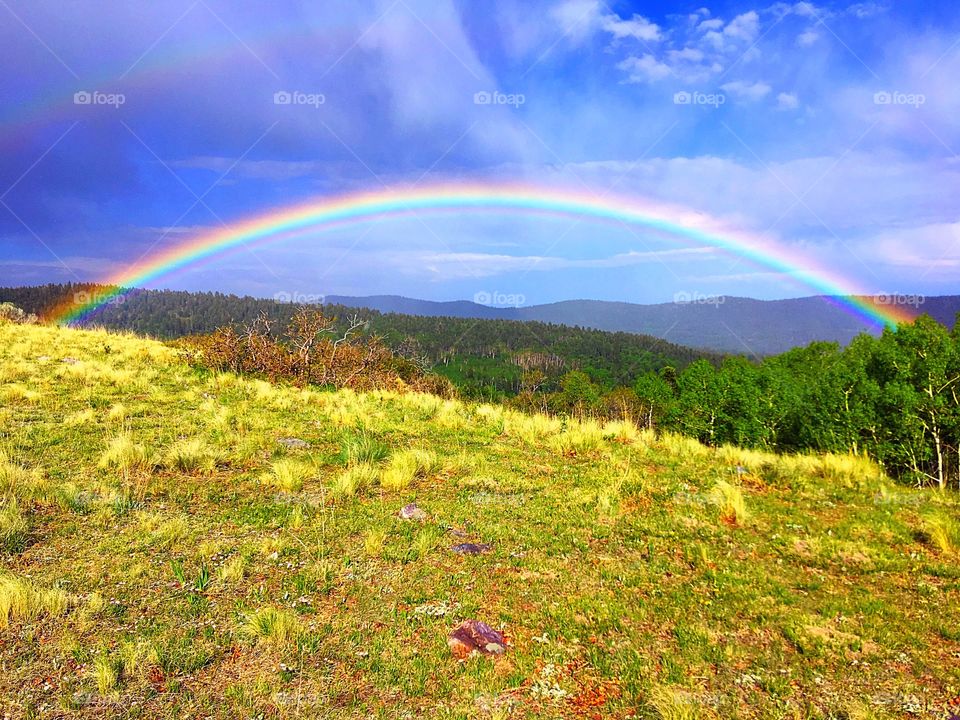 Continental Divide Trail Rainbow