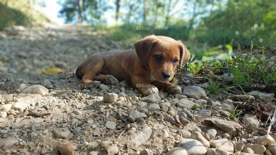 baby boots is amazement of all the little things