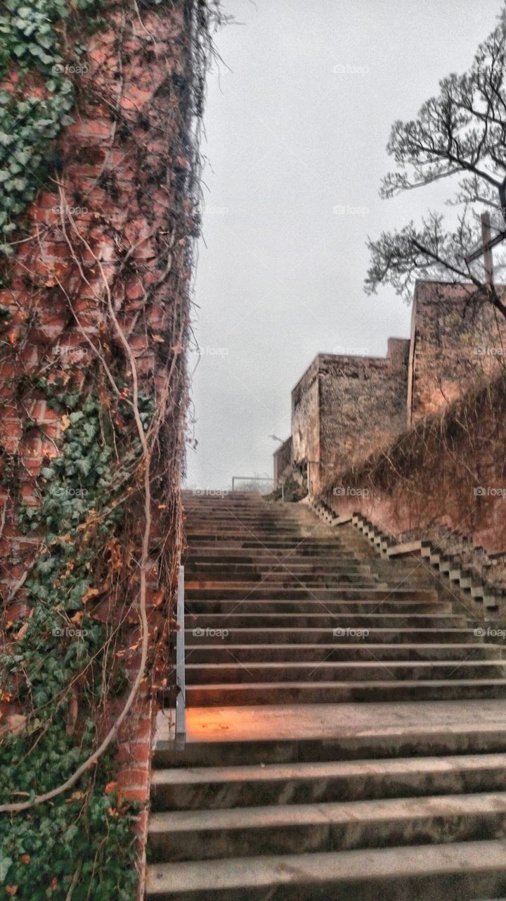 Stairway to the cathedral