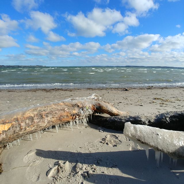 Winter Strand Eiszapfen kalt Frost gefroren Wasser