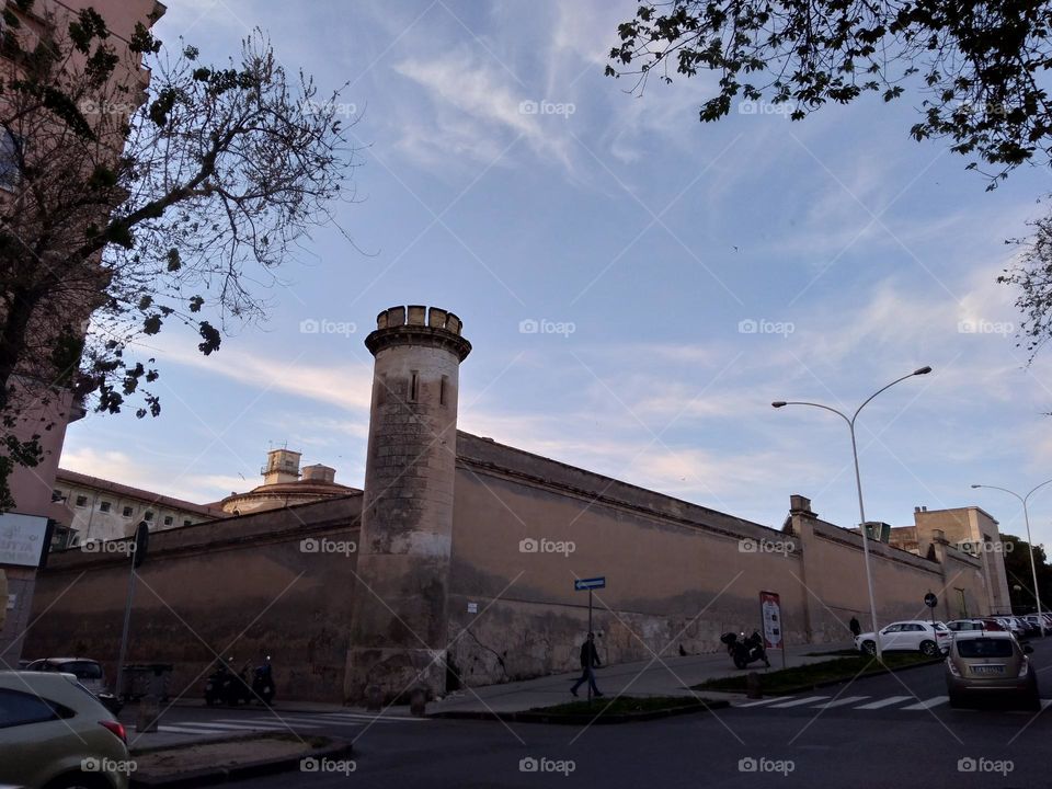 Editors' Choice: Photo of the Week