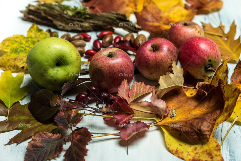 side view on white rustic, wooden background with autumn leaves, fall fruits