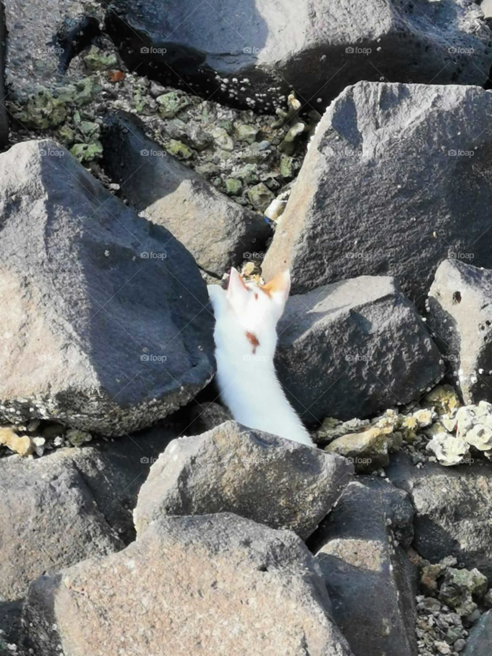 True Nature, No Filter
#truephotos