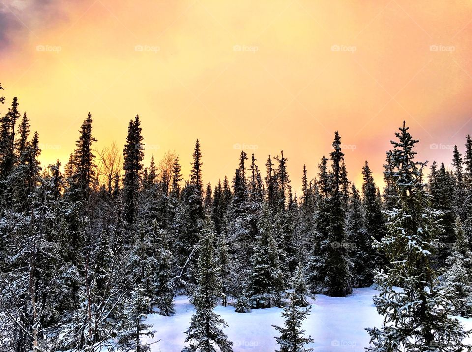 Colored sky in winter landscape 